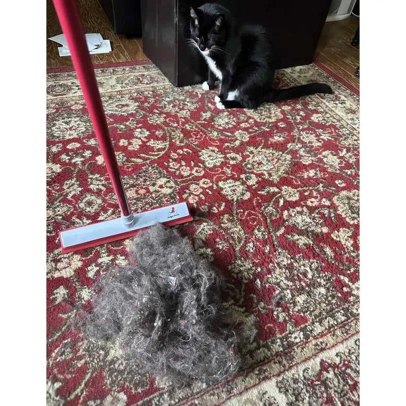 Hair Removal Broom, Pet Fur Sweeper with Telescopic Handle