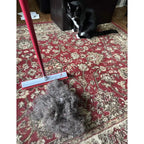 Hair Removal Broom, Pet Fur Sweeper with Telescopic Handle