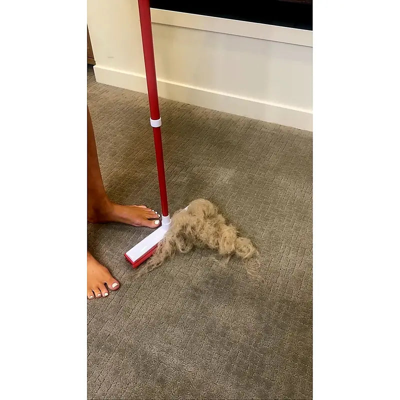Hair Removal Broom, Pet Fur Sweeper with Telescopic Handle