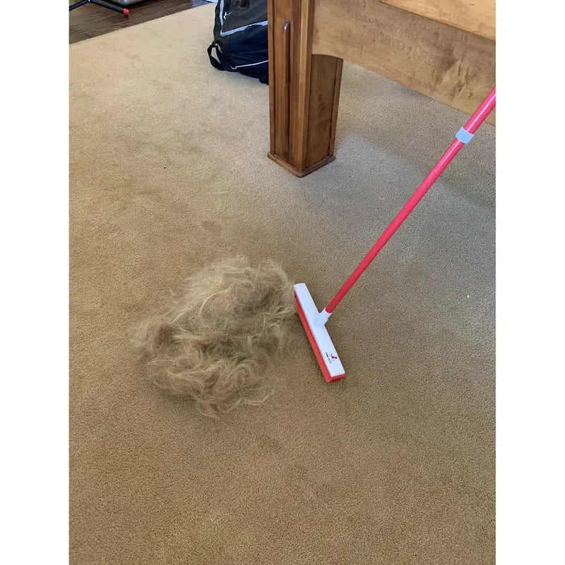 Hair Removal Broom, Pet Fur Sweeper with Telescopic Handle