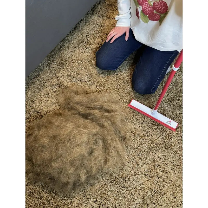 Hair Removal Broom, Pet Fur Sweeper with Telescopic Handle